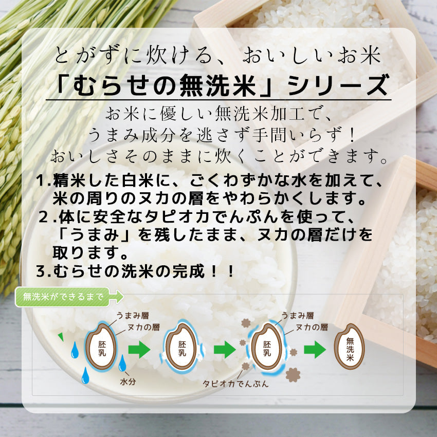 令和4年 新米】無洗米 10kg ひとめぼれ 宮城県産 (5kg×2) お米 米